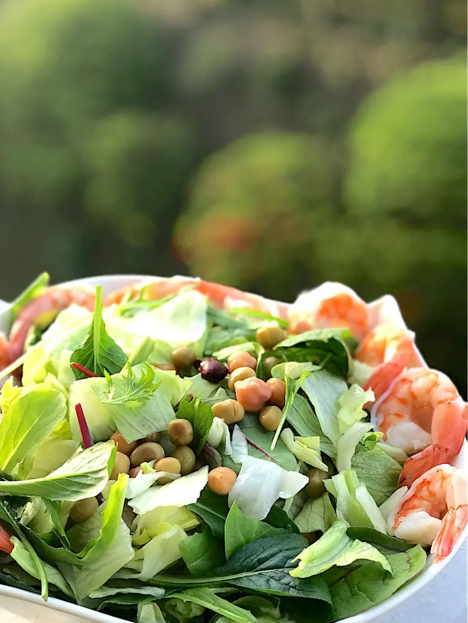 森？盛り？モリモリサラダ🥗|シュトママさん