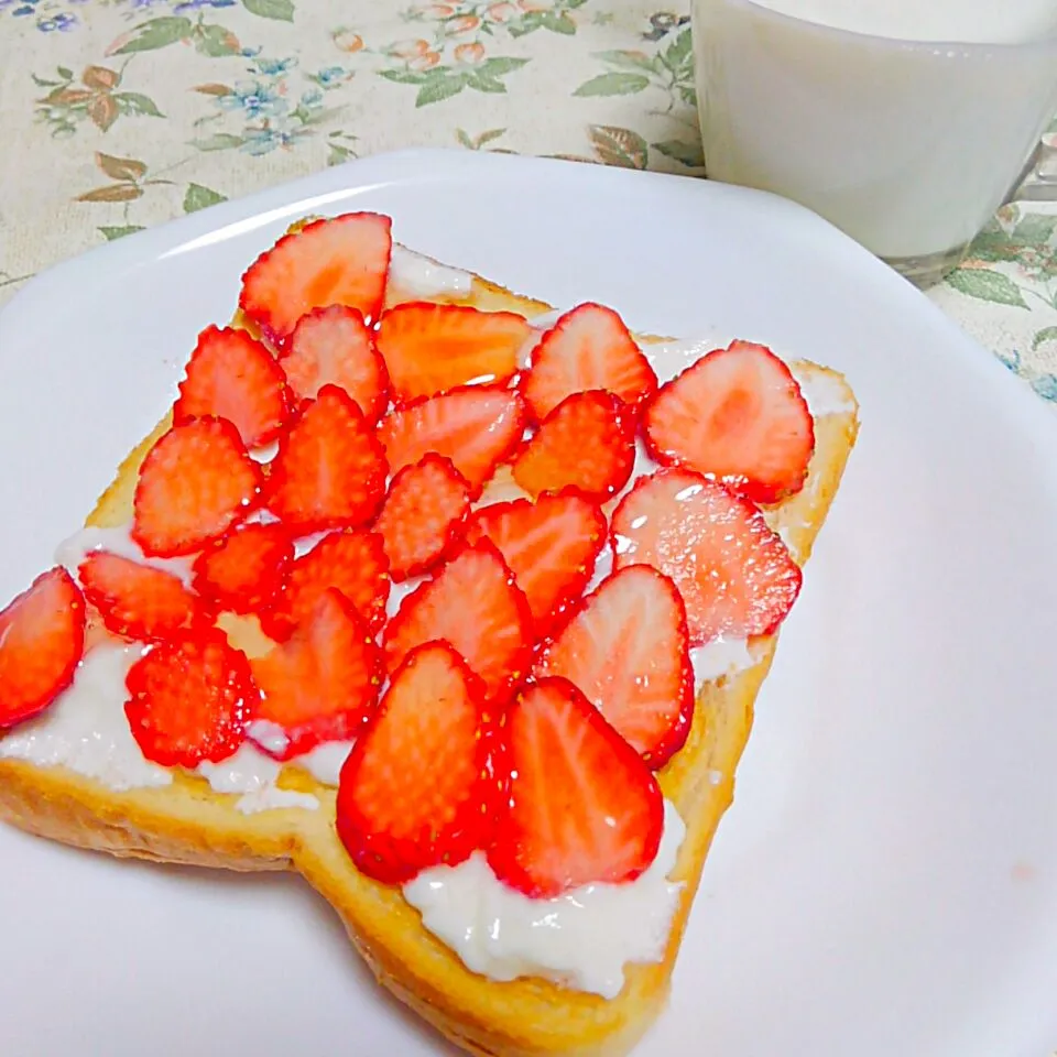 春の苺ヨーグルトトースト🍞蜂蜜ホットミルク|うたかた。さん