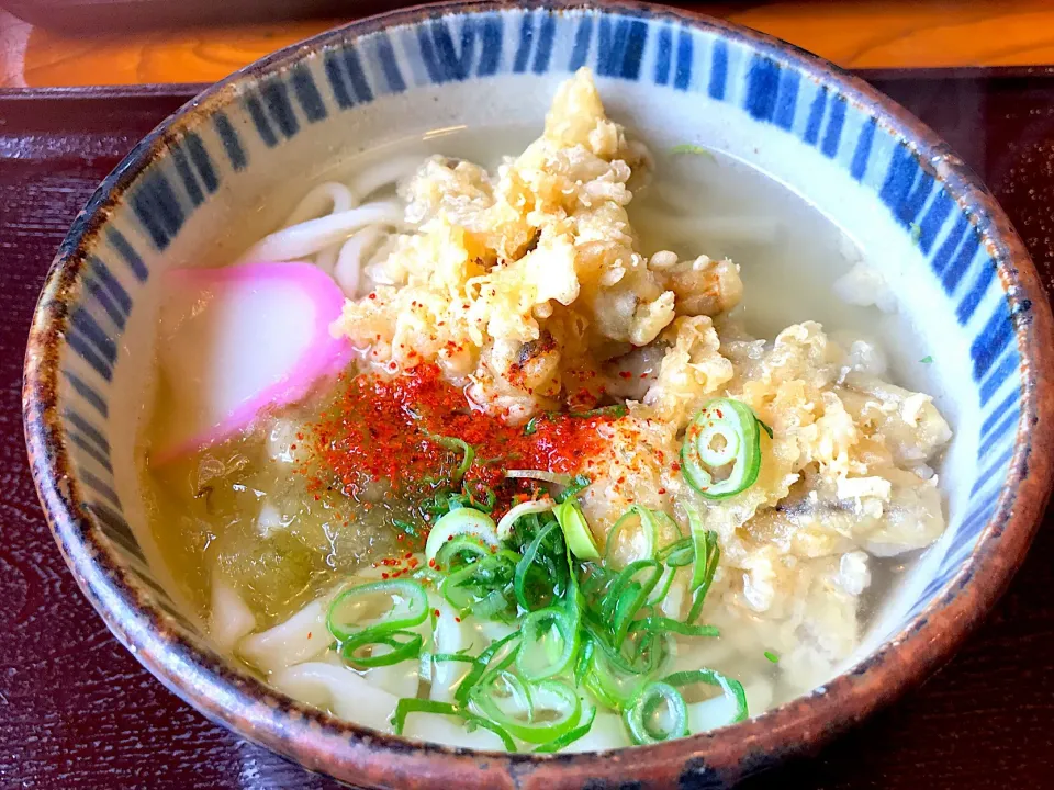 ごぼう天うどん|ナナさん