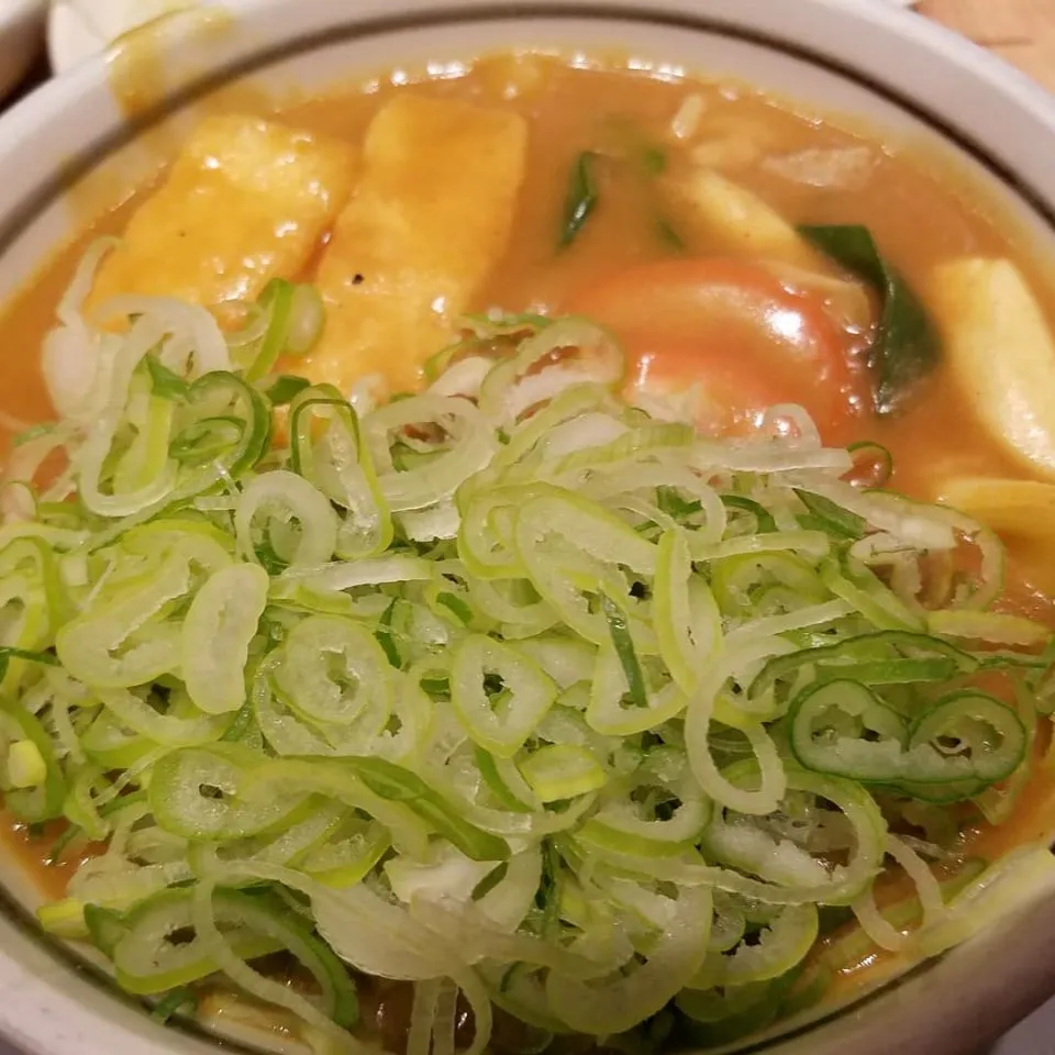 若鯱家のカレーうどん
トッピングはネギ|Morito Kamiyaさん