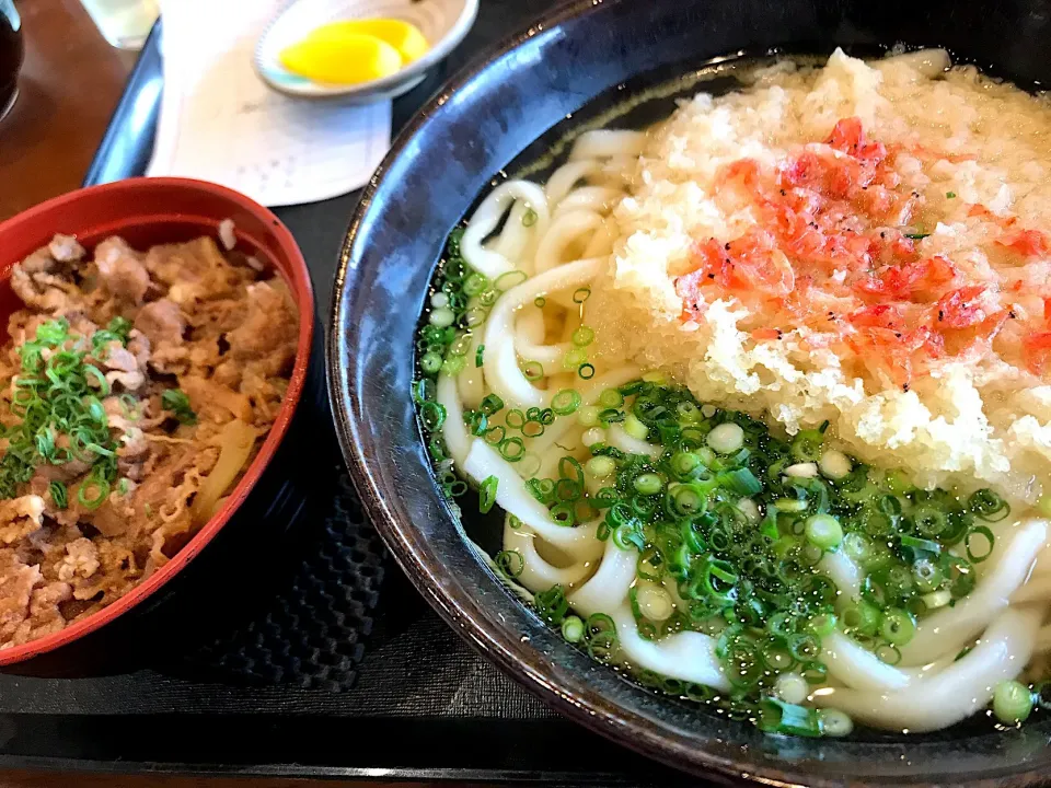 正八郎うどん|Masahiko Satohさん