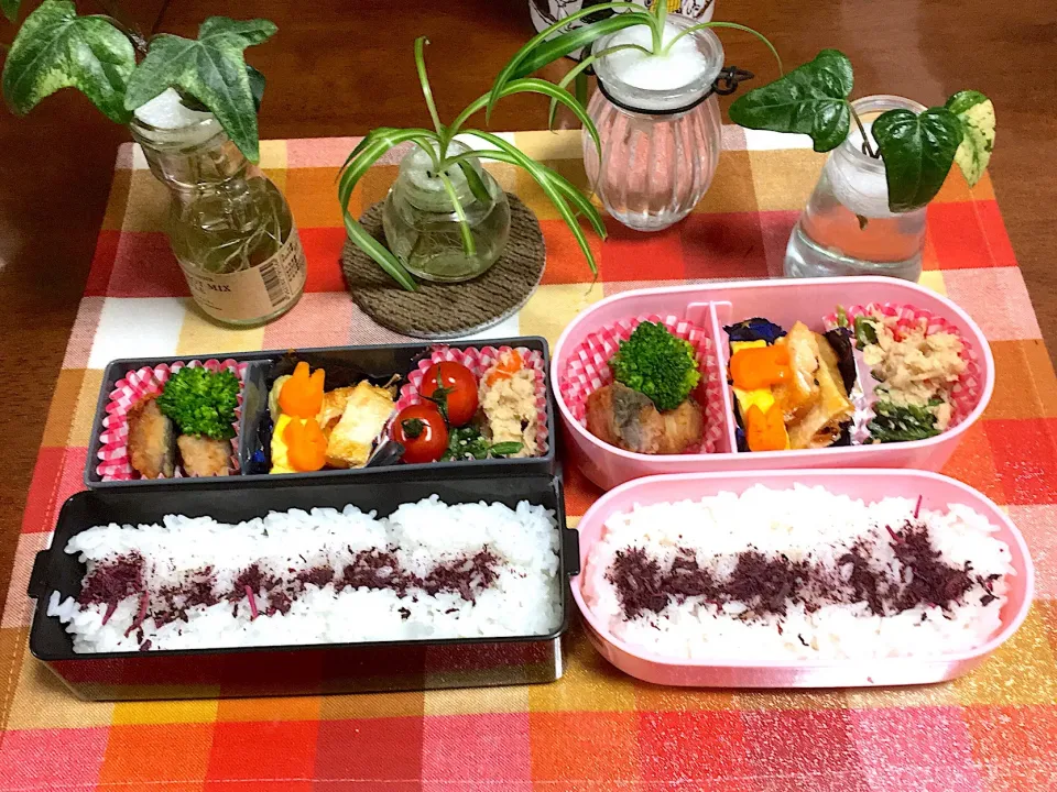 子どもさんのお弁当🍱|けもさん