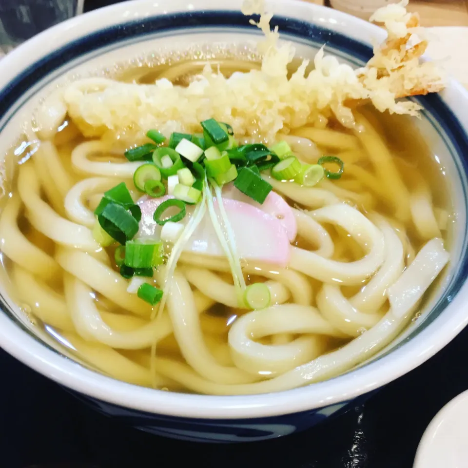 アゴ出汁うどん|hideさん