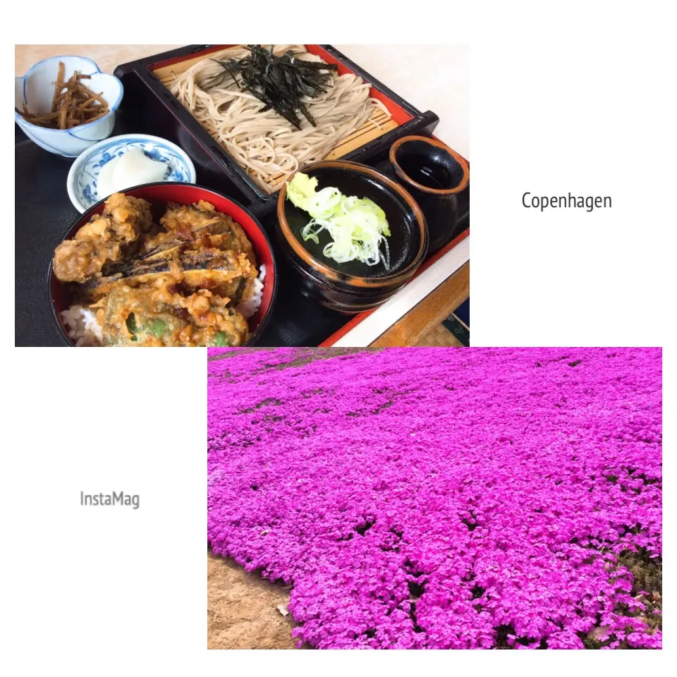 Snapdishの料理写真:早咲き芝桜🌸見て❣️
ミニ野菜天丼とざるそば😋|アライさんさん