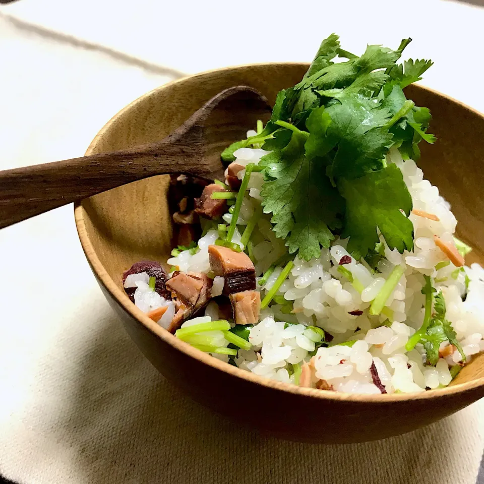 麻紀子さんの料理 生節とパクチーの混ぜごはん♪|るん♪さん