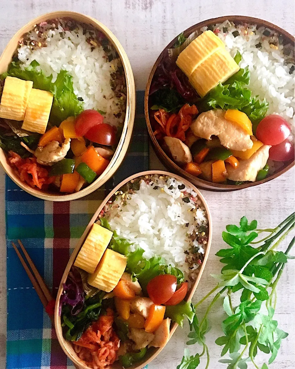 Snapdishの料理写真:塩麹漬け鶏むね肉とカラフルピーマンのグリル弁当|♡Shïmákö♡さん