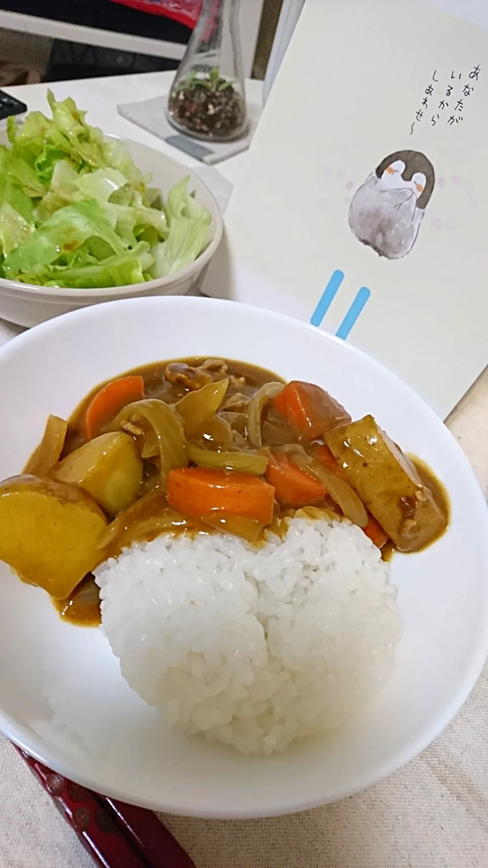 カレー #豚肉 #普通 #レタス|やのさん