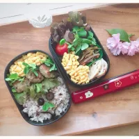 Snapdishの料理写真:JK弁当🌷2018.4.14(Sat.)