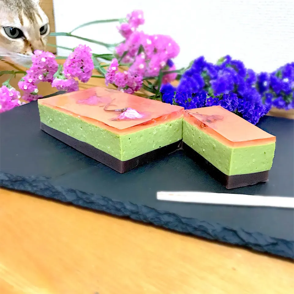 三層の抹茶レアチーズケーキ  〜桜ゼリーとようかんゼリー|呑兵衛料理家 おねこさん