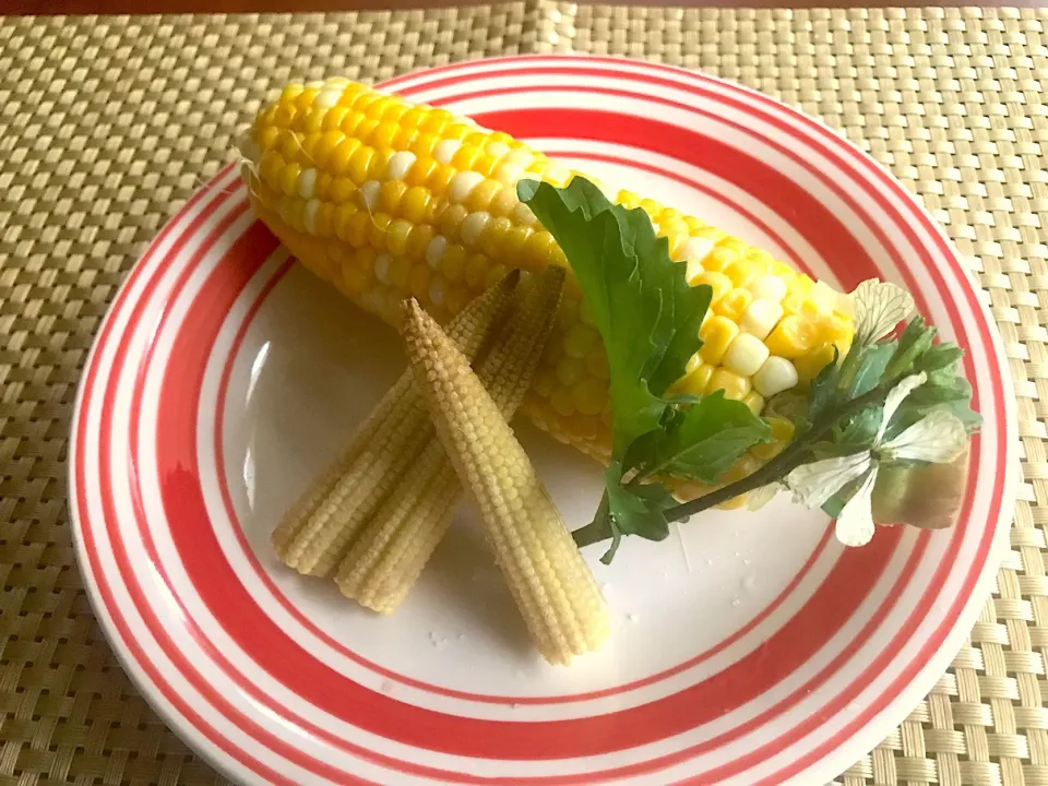 mısır🌽ﾑｽﾙ<ﾄﾙｺのB級ｸﾞﾙﾒ★屋台ﾄｳﾓﾛｺｼ>|🌈Ami🍻さん