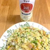 Snapdishの料理写真:絹和えで香る炒飯|tsuyuさん