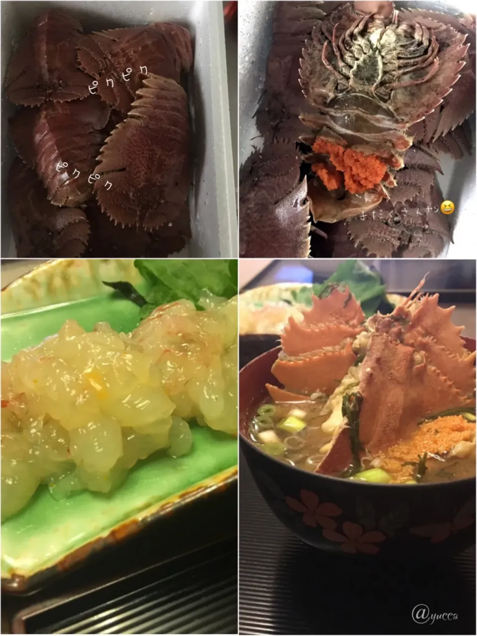 Snapdishの料理写真:ウチワエビ🦐|yucca@さん