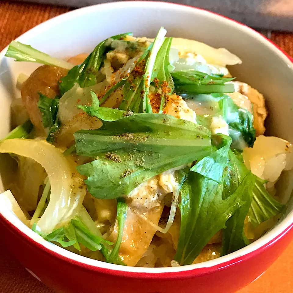 木の葉丼
衣笠丼とも言うらしい
きつね丼がわかりやすいかな|ゼニコさん