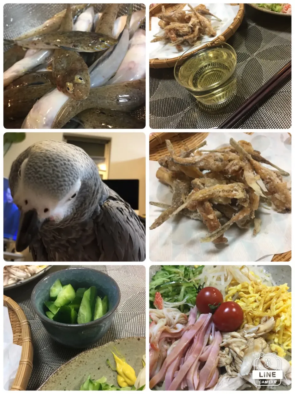 Snapdishの料理写真:泉州名物、がっちょの唐揚げ🤤
中華冷麺😍|MOMO-chan☻さん