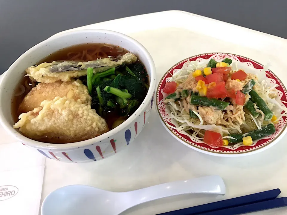 蕎麦、さつま揚天、なす天、チキンとインゲンの胡麻サラダ|Tadahiko Watanabeさん