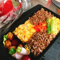 Snapdishの料理写真:そぼろ弁当|maxhunさん