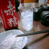 赤猿 芋焼酎とおつまみは、
釜揚げしらすとカメラ😆|Tatsuya Horiさん