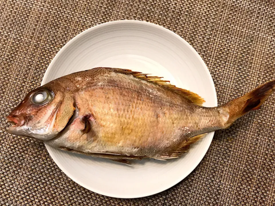 鹿島沖で釣って来た
鯛の塩焼き|Takayukiさん