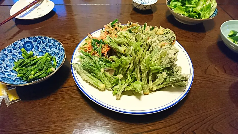 タラの芽ハリギリこしあぶら🎵|やかんちゃんさん