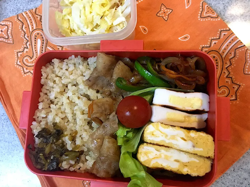 ♫4/23今日のお弁当♫〜焼肉、野菜炒め、チーズ入りはんぺん、だし巻き卵、プチトマト〜腸活用酢キャベツ付き|Satokoさん