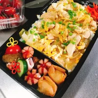 Snapdishの料理写真:親子丼弁当🐣|maxhunさん