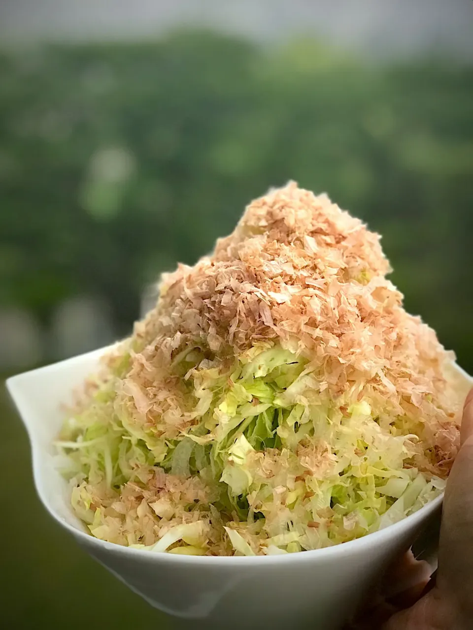 新キャベツと新玉ねぎおかか盛り和風サラダ🥗|シュトママさん