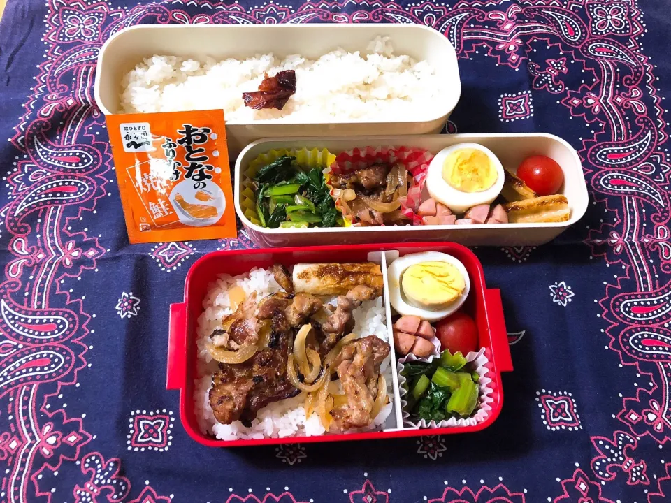 Snapdishの料理写真:2018/4/24(火) 夫弁当&娘弁当🎵|kiyominさん