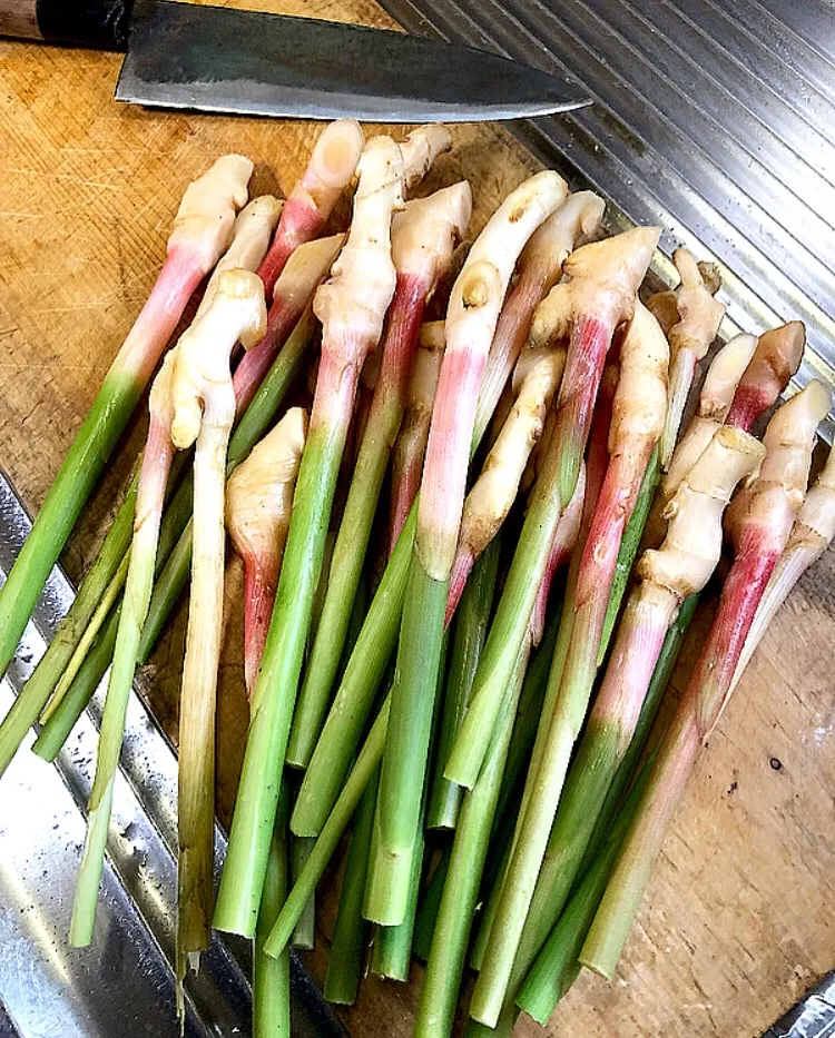 Snapdishの料理写真:葉生姜の肉巻き🔪仕込み|ガク魁‼︎男飯さん