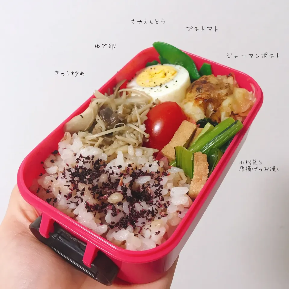 お弁当 #お弁当  #お弁当記録  #お弁当作り|yukas日記(*¨*)さん