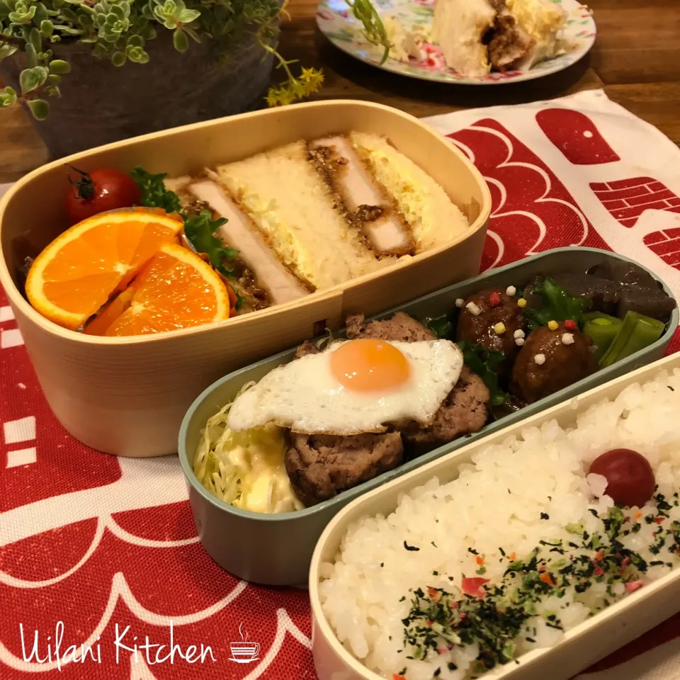 Snapdishの料理写真:お弁当 0425|yukie@uilanikitchenさん