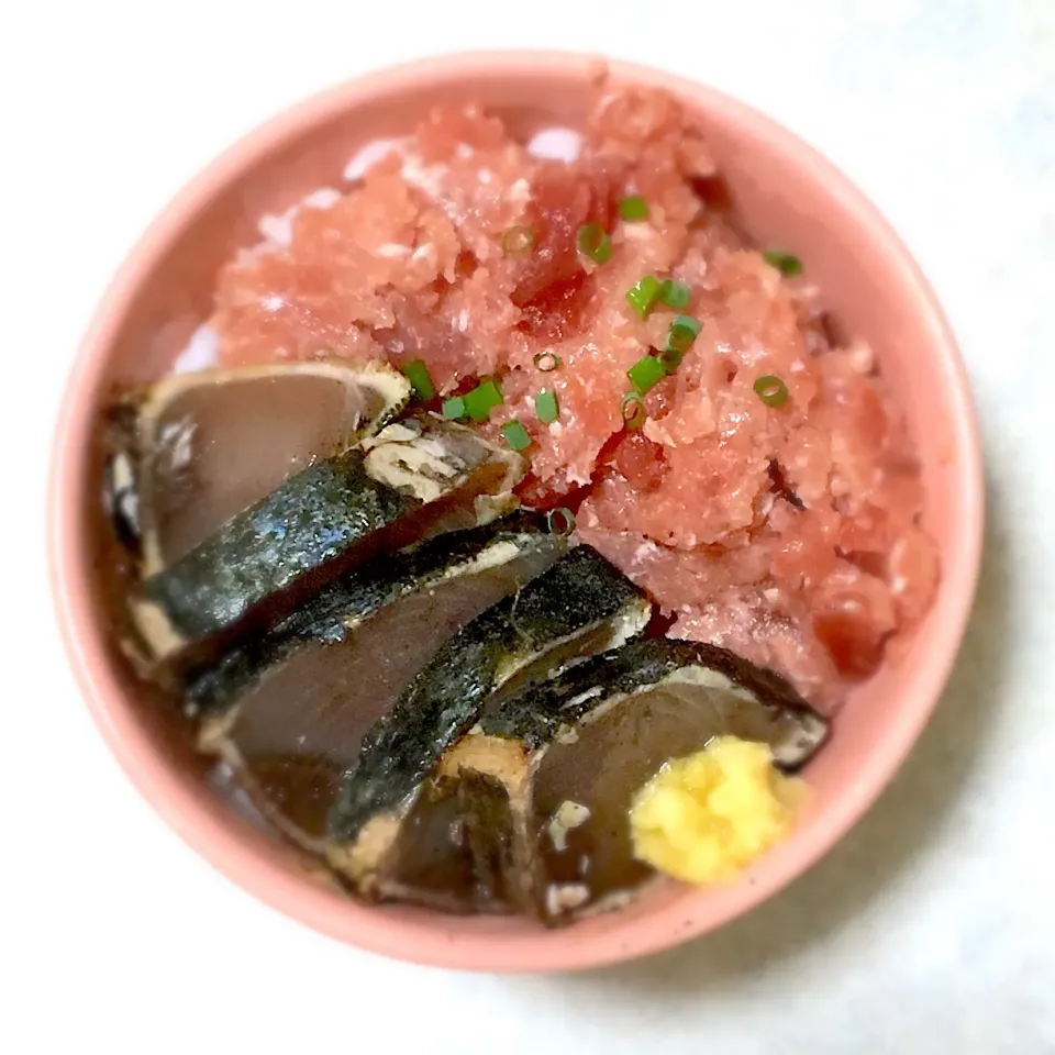 Snapdishの料理写真:カツオとネギトロ丼|沙織さん