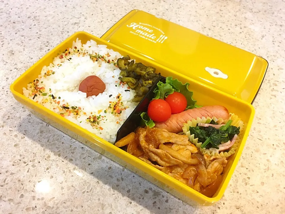 Snapdishの料理写真:4/26 パパ弁♪|ikukoさん