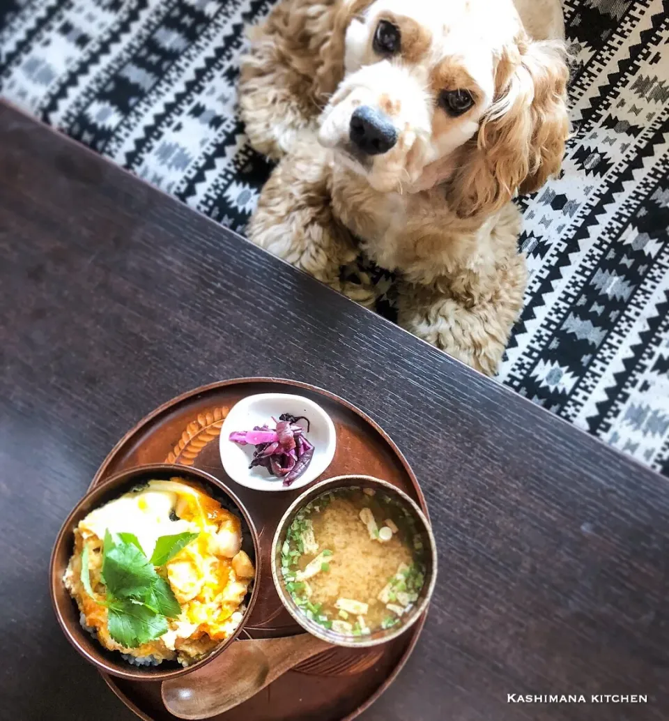 Snapdishの料理写真:親子丼🍚|Kashimanakitchenさん