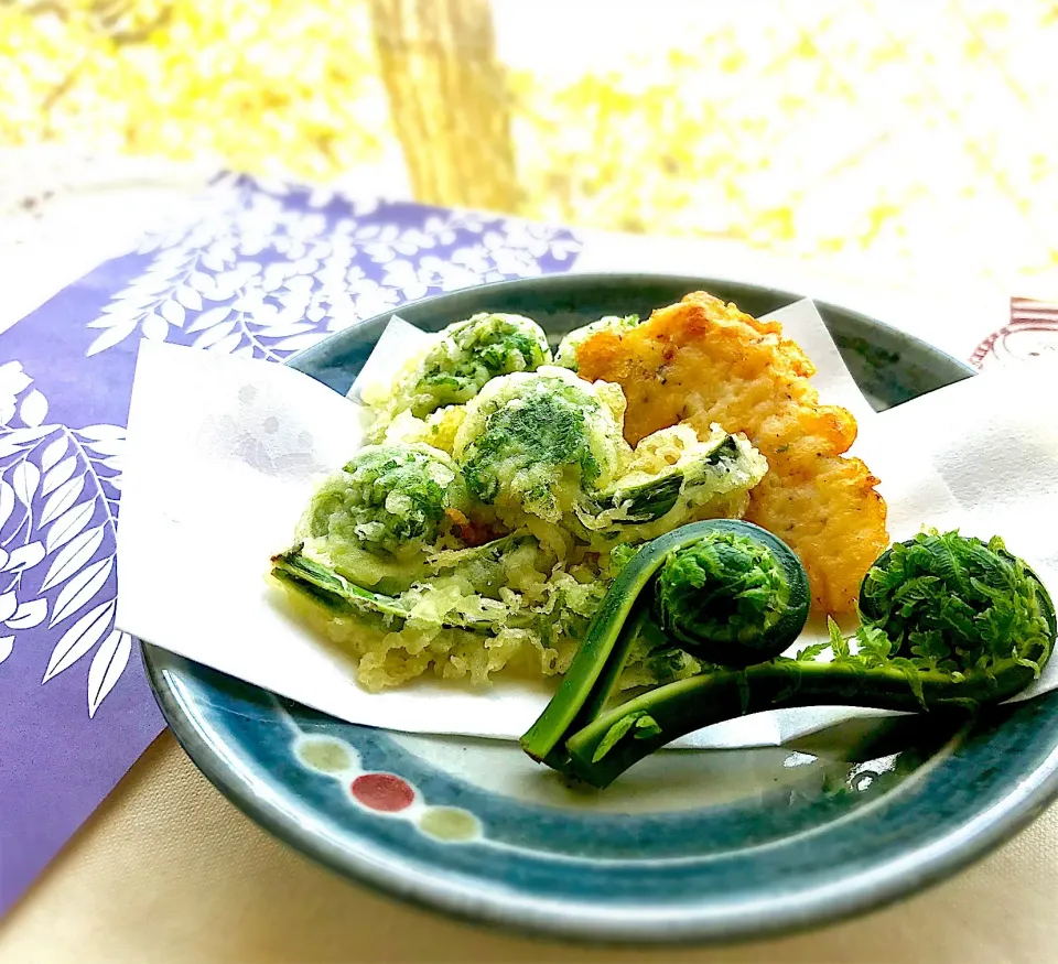 Snapdishの料理写真:昼ごはん  初物こごみの天ぷら(*´꒳`*)|砂雪さん