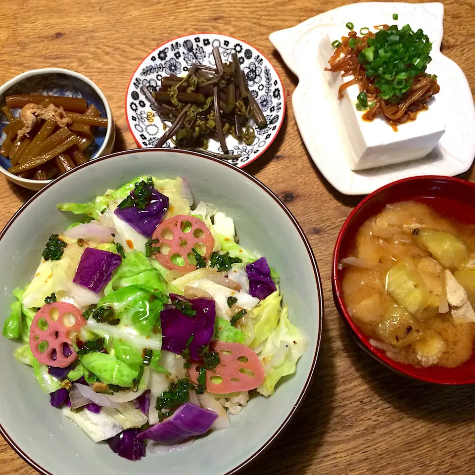 Snapdishの料理写真:#vegan  #グルテンフリー  #シュガーフリー 
春キャベツと新玉ねぎの丼|makiko_aさん