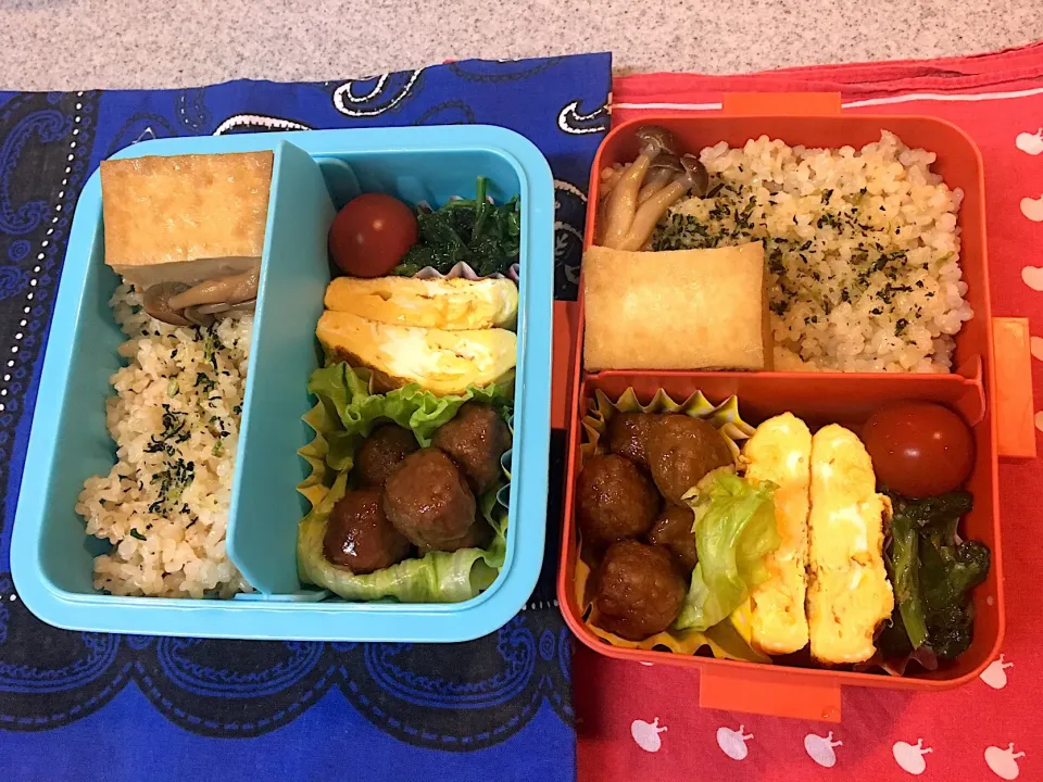 Snapdishの料理写真:♫4/27今日のお弁当♫〜ミートボール、だし巻き卵、厚揚げの甘辛煮、ほうれん草胡麻和え、プチトマト〜|Satokoさん