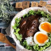 姫の 煮込みハンバーグLunch