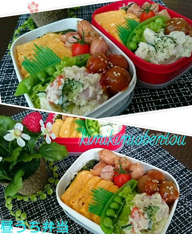 #節約お弁当
日曜日‥                                いつもと変わらぬ主婦…
そして…節約お弁当…|kimi=kimi🌼Kitchenさん