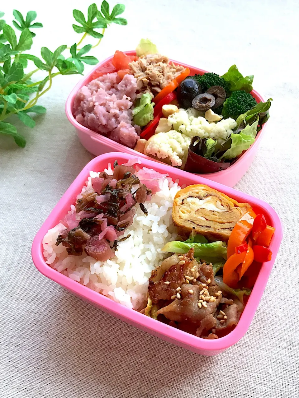 Snapdishの料理写真:私のお弁当|ゆみさん