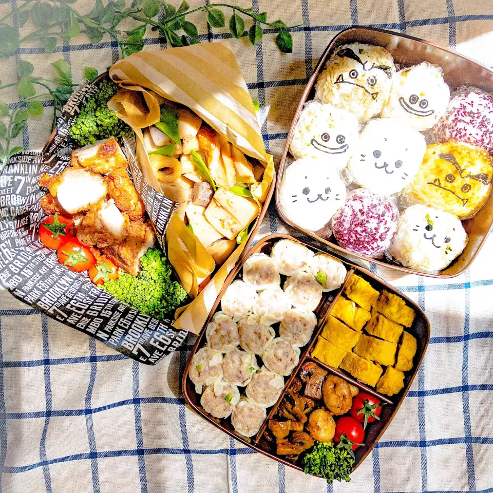 落書きおにぎり弁当🍙|hari-co ＊ はりこさん