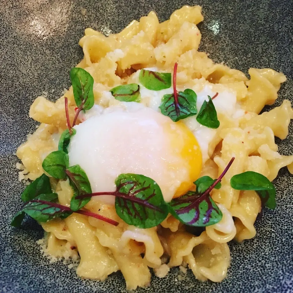 Carbonara @aureole|kayoさん