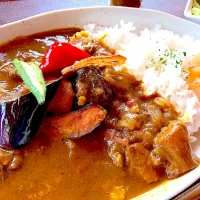 Snapdishの料理写真:素揚げ野菜ゴロゴロの薬膳牛すじカレー。
#薬膳牛すじカレー🍛
#鳥取県立博物館|kayak-gohanさん