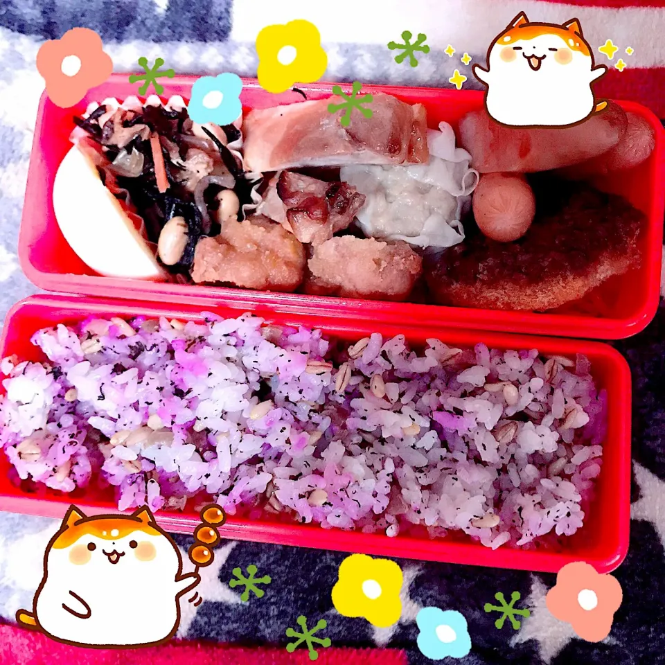 遠足のお弁当。|💙💙渡辺翔太💙💙さん