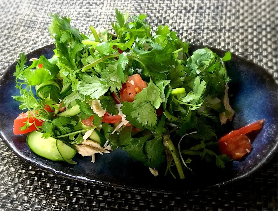 蒸し鶏とパクチーのサラダ🥗|ぷっくりんこ💙さん