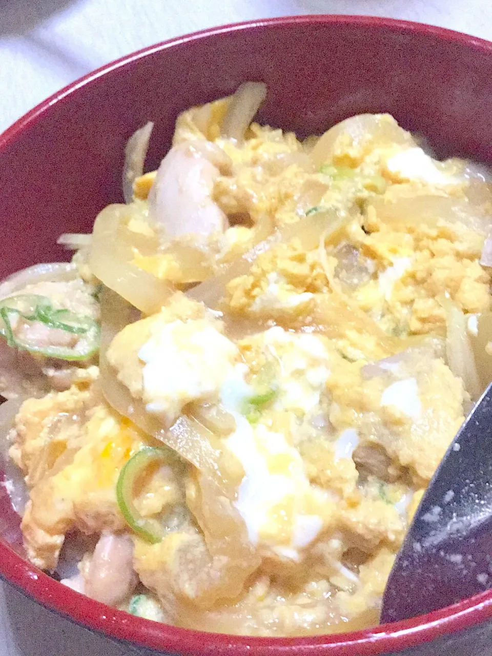 玉ねぎたっぷり親子丼|Ayaさん