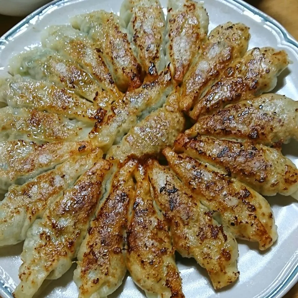 2018/5/5(土)餃子の花が咲いた💮|しまだ ちえこさん