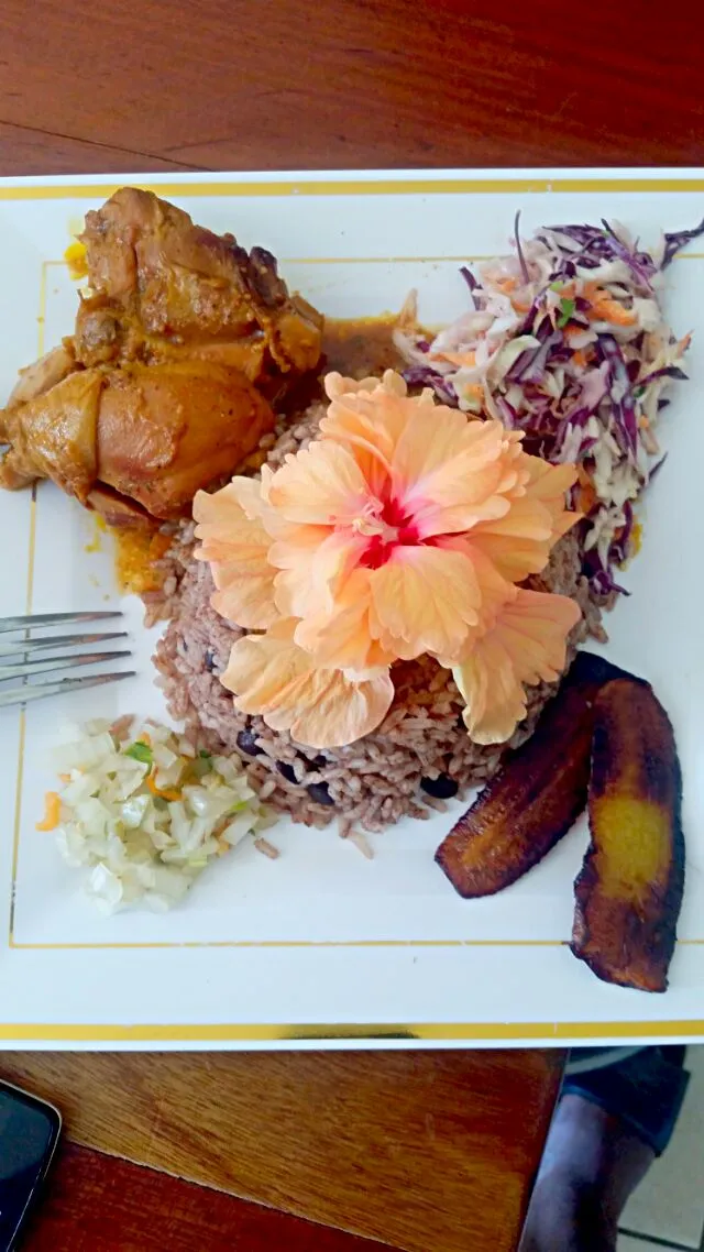 rice & black beans w/chicken slaw and plantain|Jason Banksさん