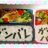 Snapdishの料理写真:応援弁当|kitchentomokoさん