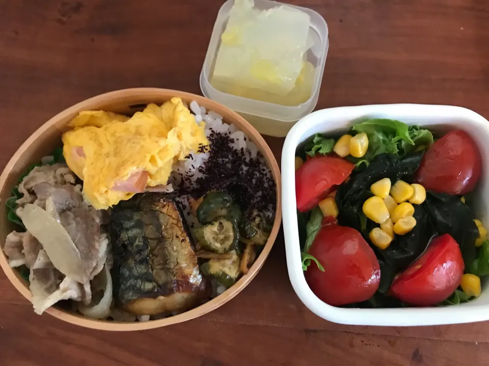 今日のお弁当|mmmd_lさん