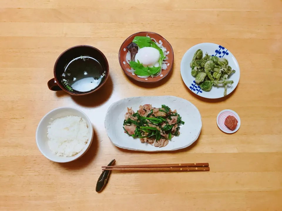 豚肉とニラの辛味噌炒め                                               こごみの天ぷら|ちゃみこさん